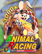 แนะนำวิธีเล่น ดาฟาเบท คาสิโน มือถือ อย่างมืออาชีพ